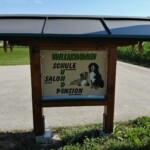 created by dji camera