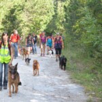 ????????????????????????????????????